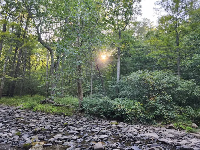 Trough Creek State Park Campground Picture 6