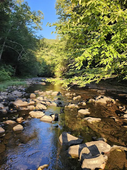 Trough Creek State Park Campground Picture 3