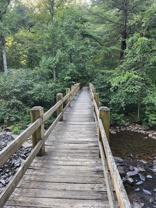 Trough Creek State Park Campground Picture 5