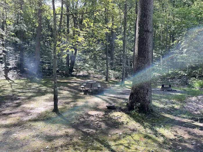 Trough Creek State Park Campground Picture 4