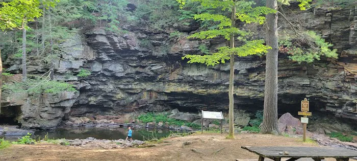 Trough Creek State Park Campground Picture 1