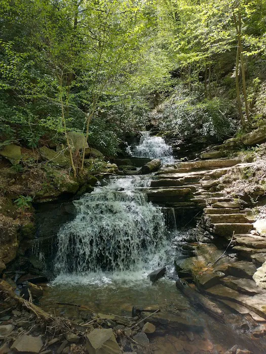 Trough Creek State Park Campground Picture 9