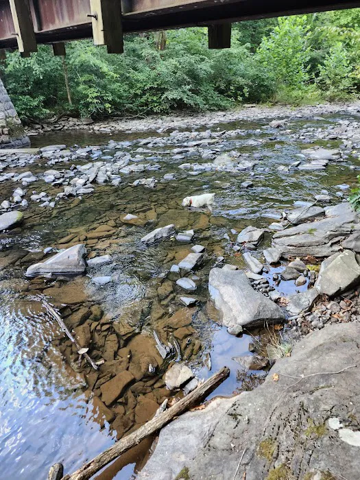 Trough Creek State Park Campground Picture 7