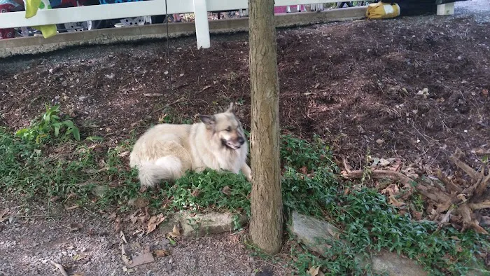 Hemlock Hideaway Campground Picture 8