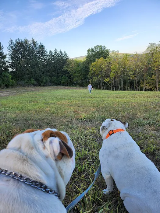 Wright's Orchard Station Picture 7