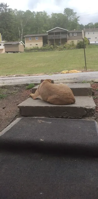 Loffs deugs Picture 1