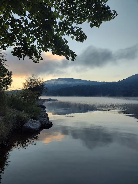 Nancy's Camp Boat to Shore Picture 7