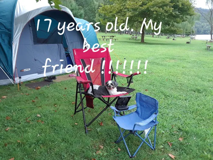 Nancy's Camp Boat to Shore Picture 9