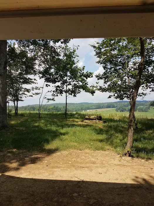 Countryside Campground LLC Picture 1