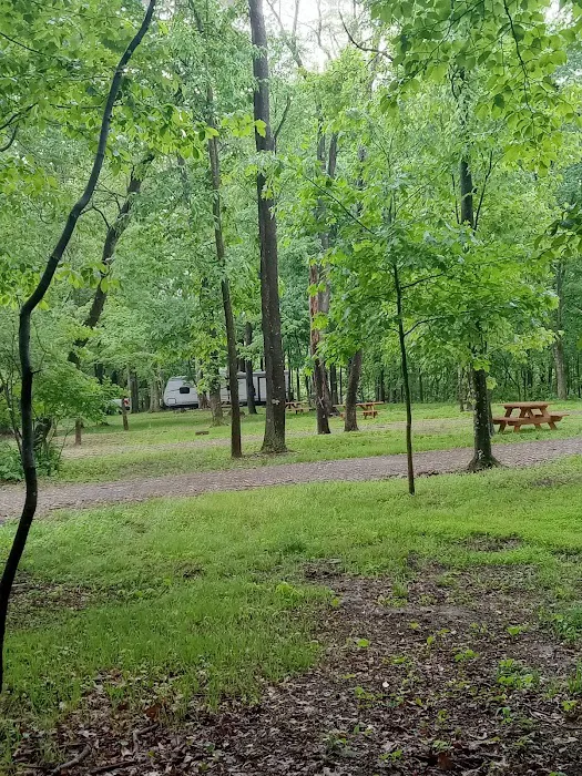 Countryside Campground LLC Picture 3