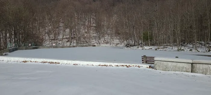 Nanty Glo Park and Pool Picture 3