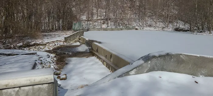 Nanty Glo Park and Pool Picture 10