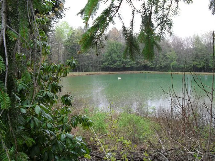 Woodland Park Campground Picture 1