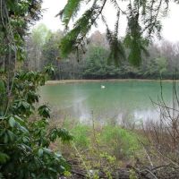 Woodland Park Campground ico