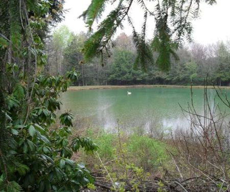 Woodland Park Campground