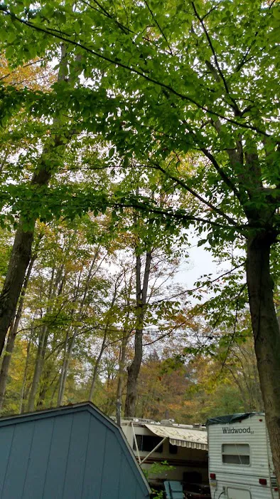 Woodland Park Campground Picture 8