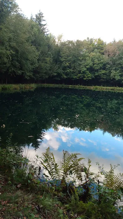 Woodland Park Campground Picture 9