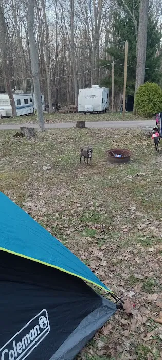 Woodland Park Campground Picture 4