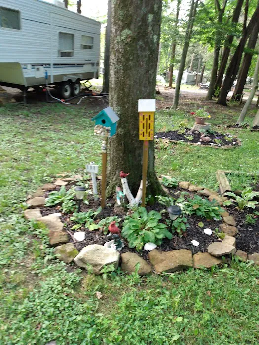 Woodland Park Campground Picture 5