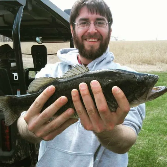 Miller's Court and Inn Picture 1