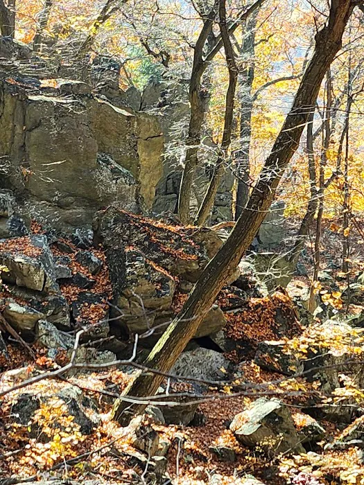 Raven Rock Hiker Shelter Picture 1