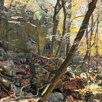 Raven Rock Hiker Shelter