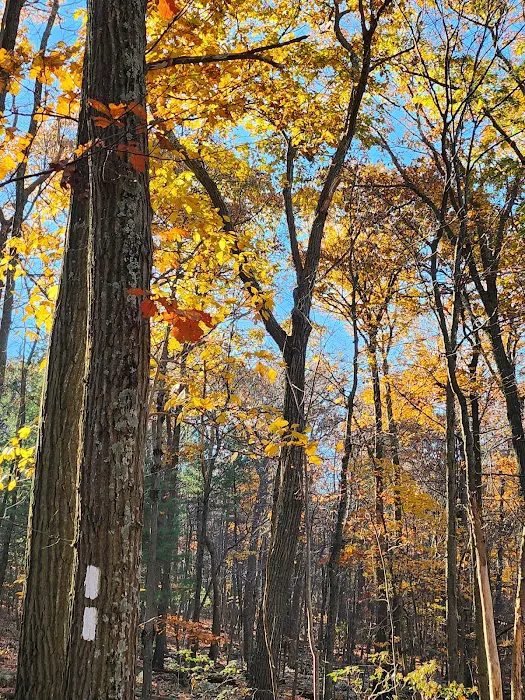 Raven Rock Hiker Shelter Picture 4