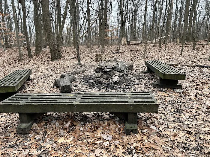 Raven Rock Hiker Shelter Picture 3