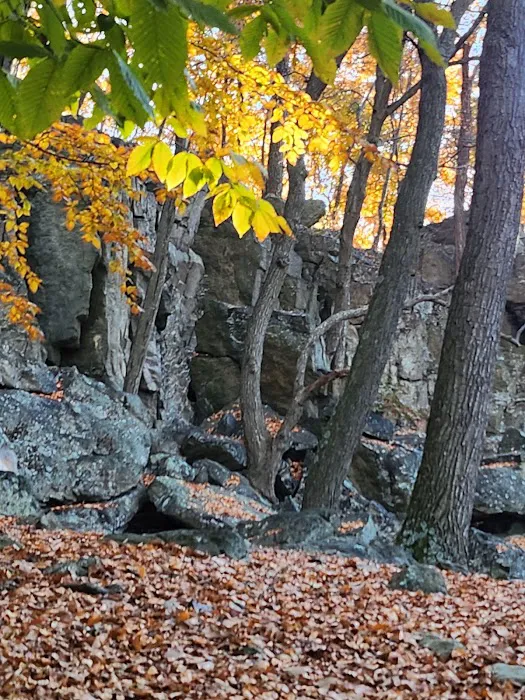 Raven Rock Hiker Shelter Picture 6