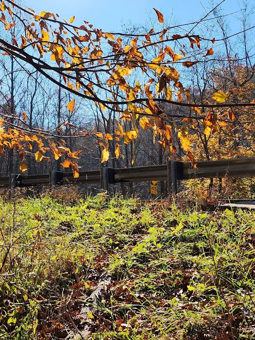 Raven Rock Hiker Shelter Picture 7