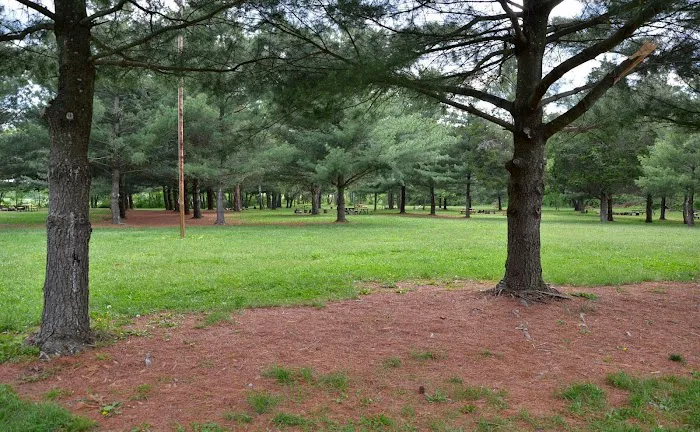 McMillan Woods Youth Campground Picture 4