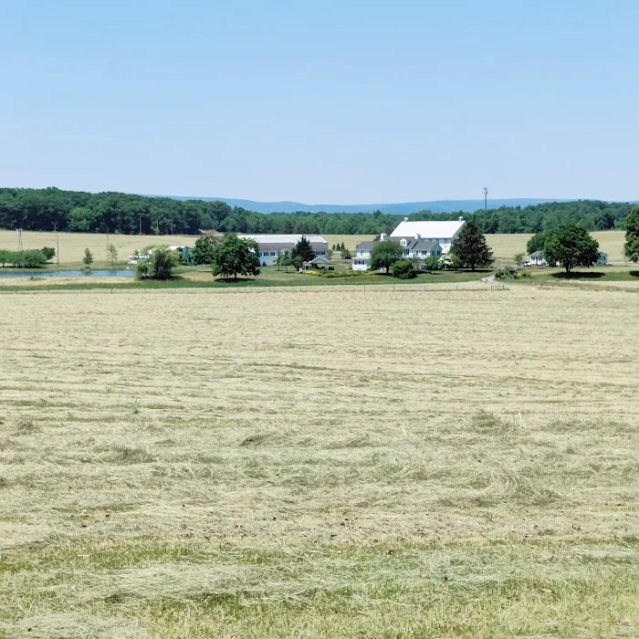 McMillan Woods Youth Campground Picture 2
