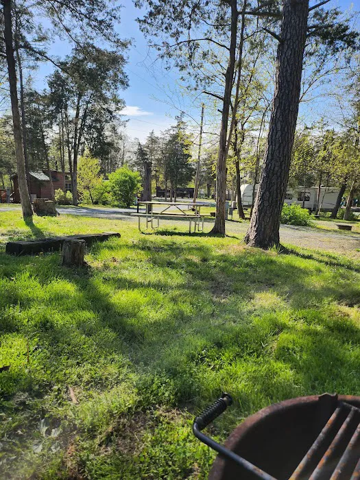 Drummer Boy Camping Resort Picture 3