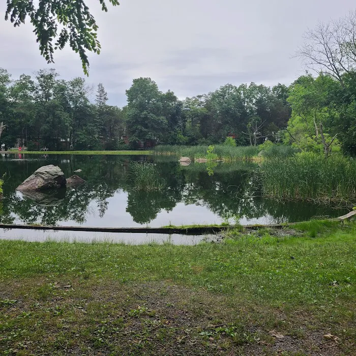 Drummer Boy Camping Resort Picture 6