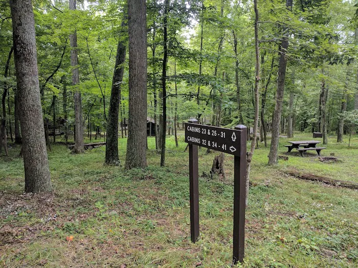 Camp Misty Mount Picture 10