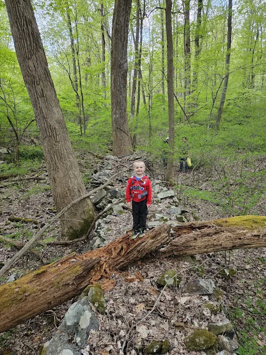 Poplar Grove Youth Group Tent Campground Picture 3