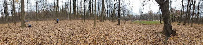 Poplar Grove Youth Group Tent Campground Picture 1