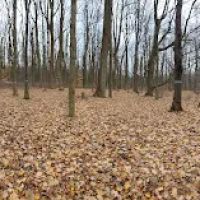 Poplar Grove Youth Group Tent Campground ico