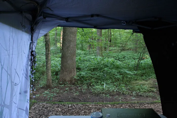 Owens Creek Campground Picture 1