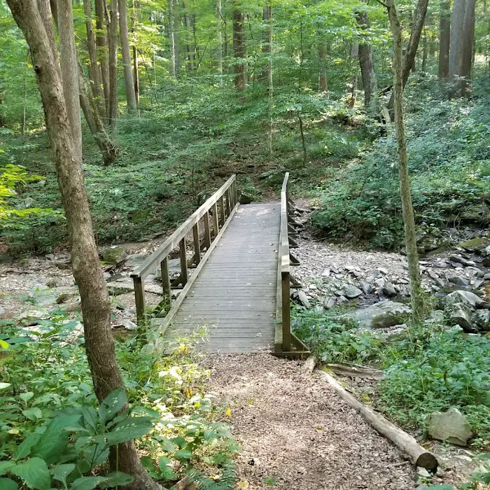 Owens Creek Campground Picture 7