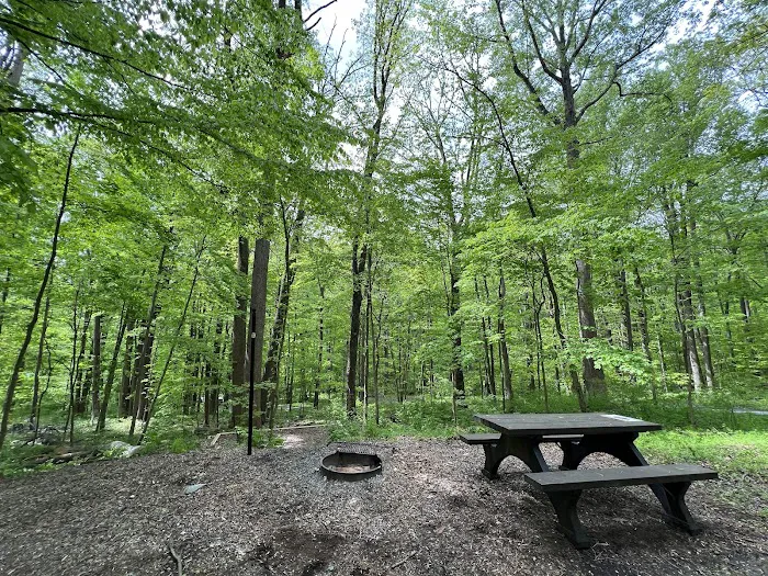 Owens Creek Campground Picture 3