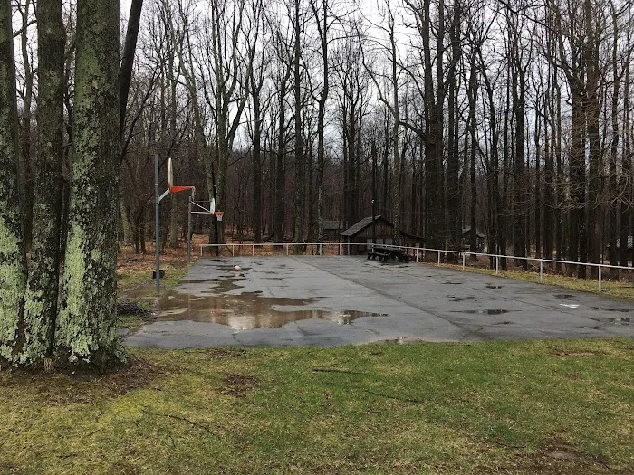 Camp Greentop Picture 5