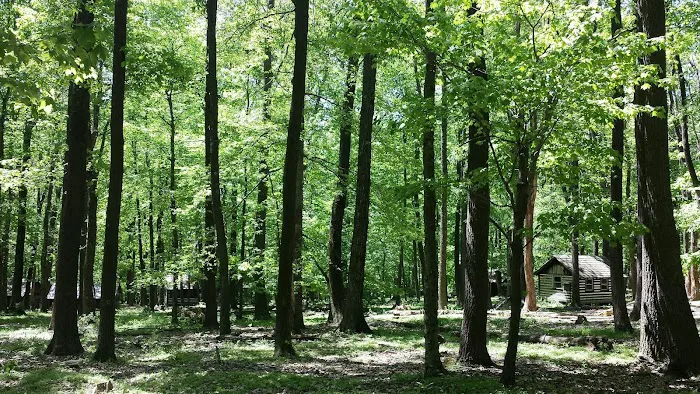 Camp Greentop Picture 9