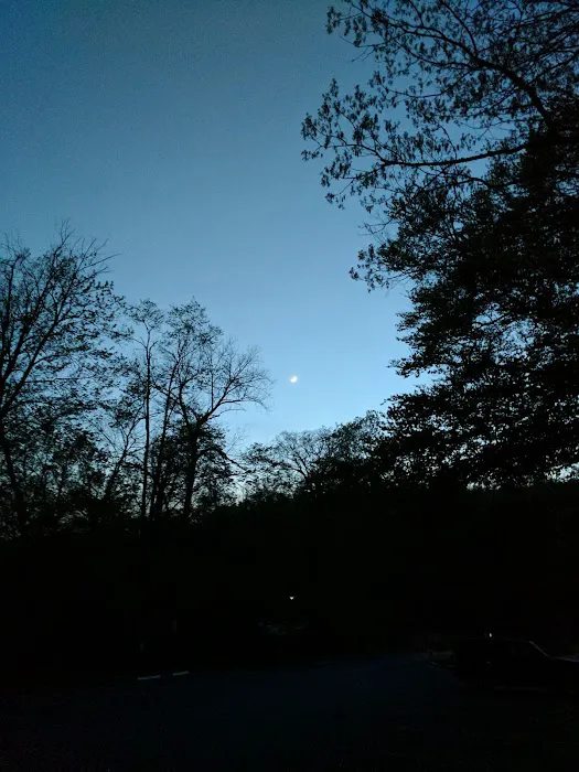 Camp Greentop Picture 10