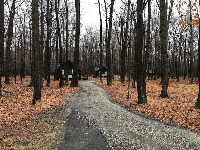 Camp Greentop Picture 4