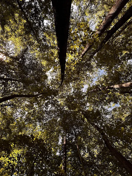 Burke Lake Campgrounds Picture 5