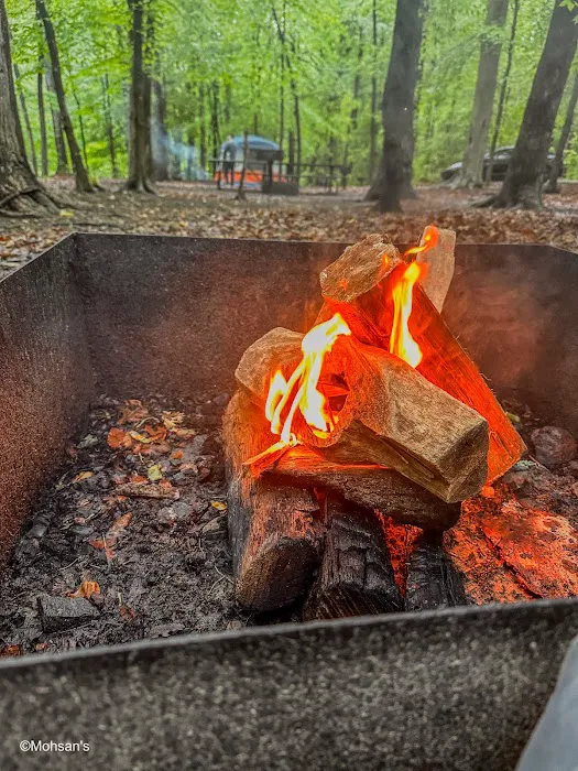 Burke Lake Campgrounds Picture 6