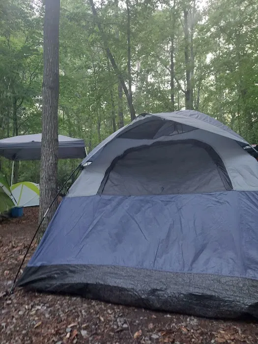 Burke Lake Campgrounds Picture 7