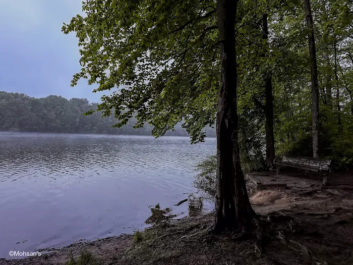 Burke Lake Campgrounds Picture 4