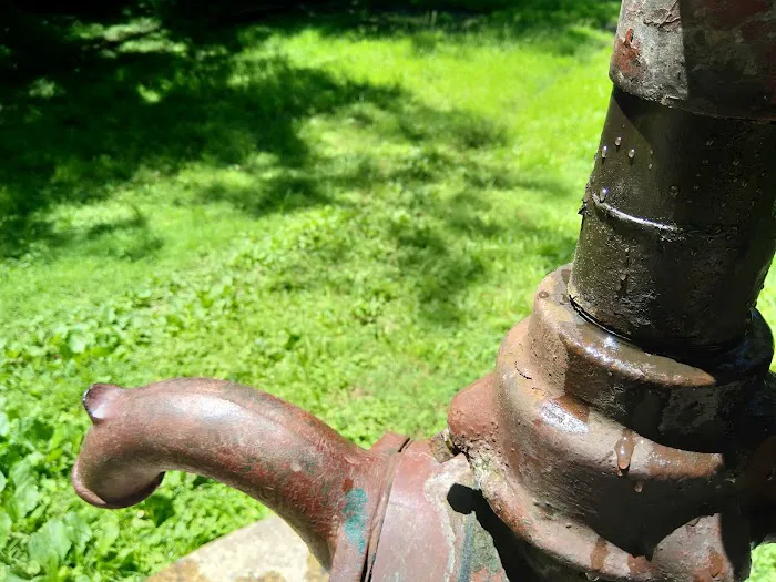 Calico Rocks Campsite Picture 4